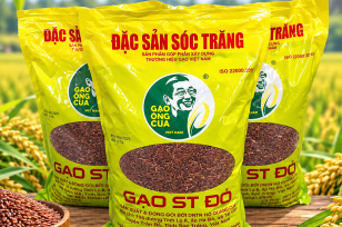 Mua Gạo ST25 Ở Cần Thơ Chính Hãng | Gạo Phúc Anh